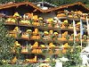 Zermatt hotels -  Hotel Butterfly